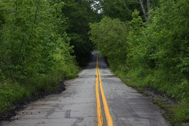 Notice the vegetation creeping into the road due to lack of use.